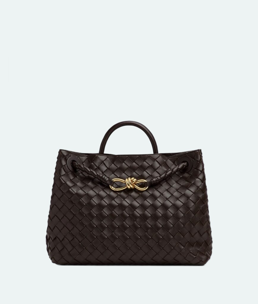 Bottega Veneta - Andiamo Medium - Fondant