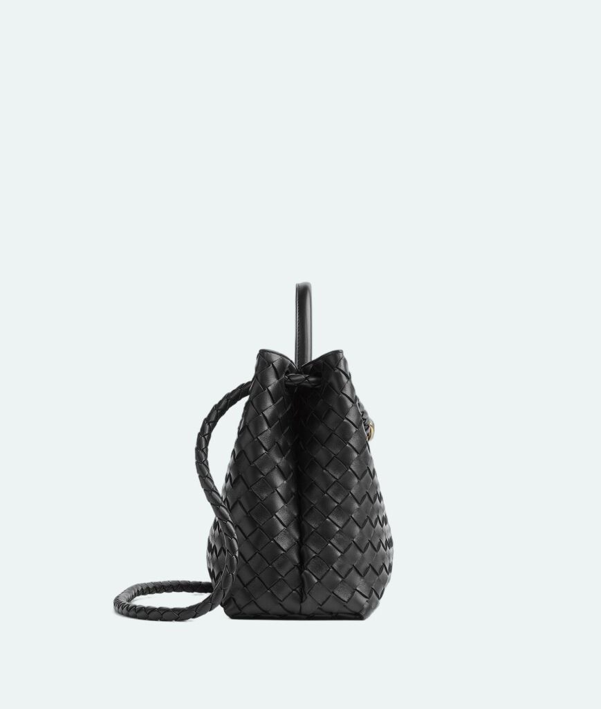 Bottega Veneta - Andiamo Medium - Black