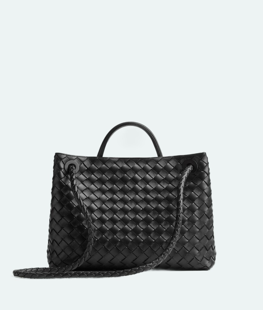 Bottega Veneta - Andiamo Medium - Black