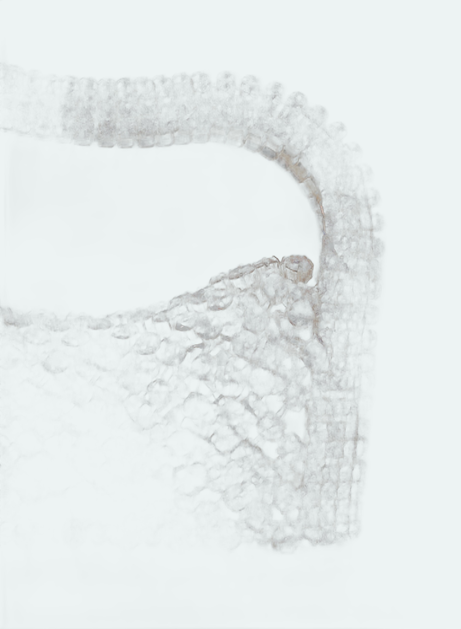 Benedetta Bruzziches - Rachele - Sweet Dream - Image 8