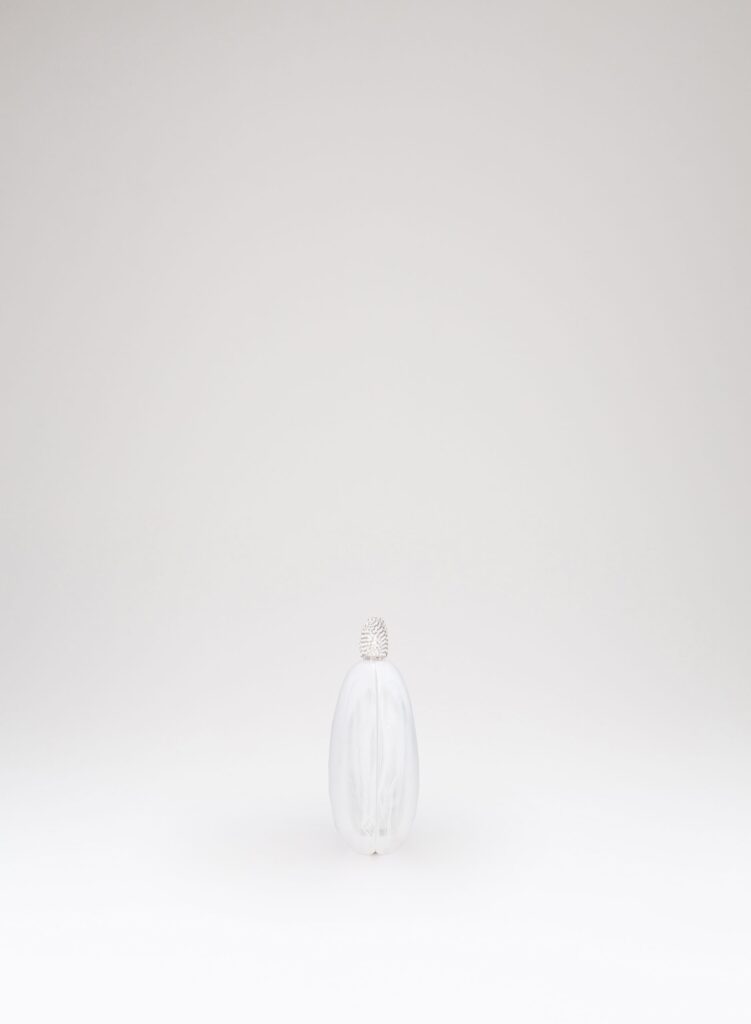 Benedetta Bruzziches - Armonia - Cristallo di Rocca