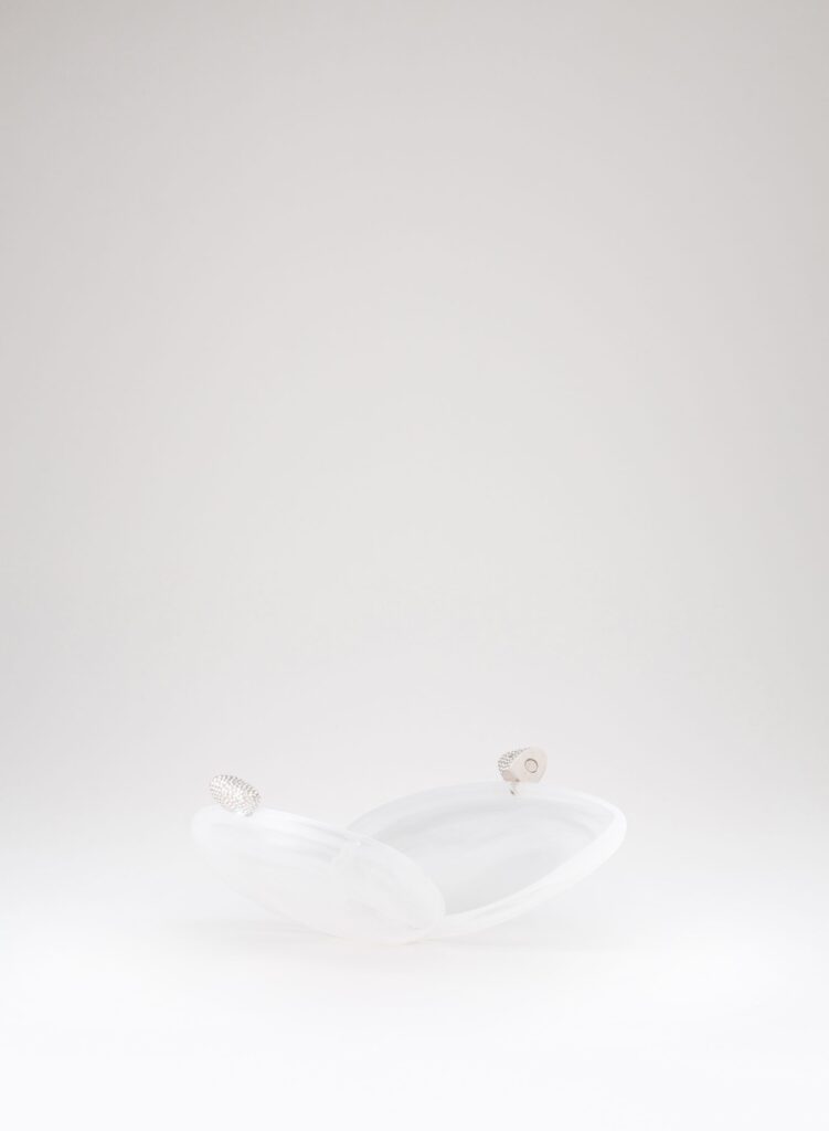 Benedetta Bruzziches - Armonia - Cristallo di Rocca