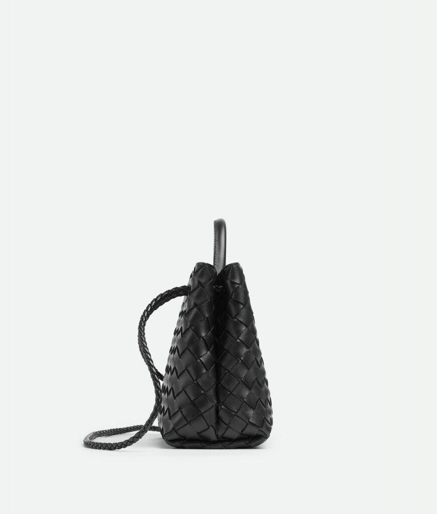 Bottega Veneta - Andiamo Small - Black