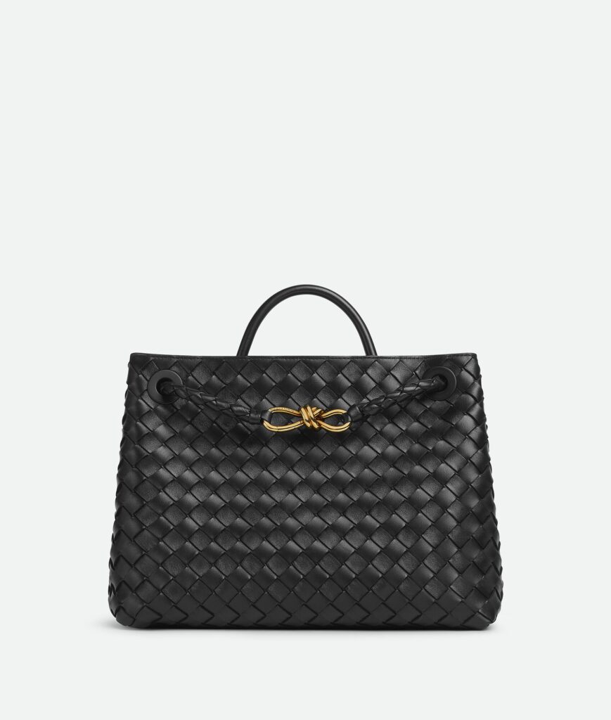 Bottega Veneta - Andiamo Medium - Black