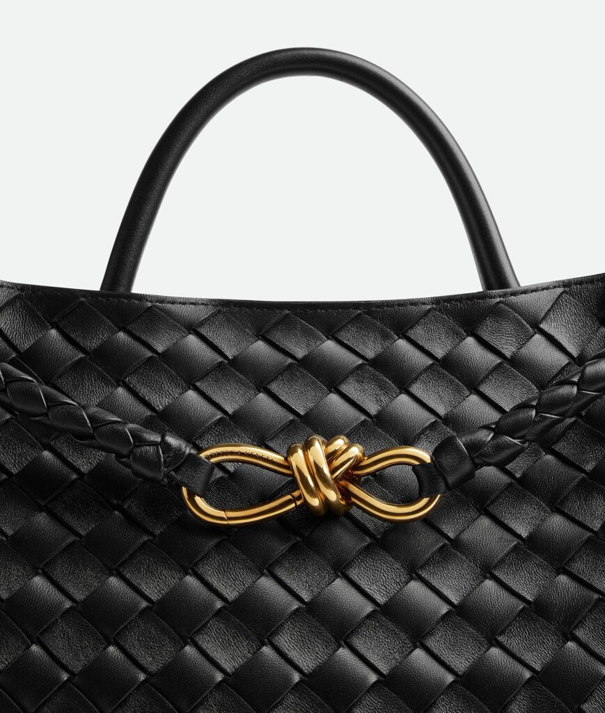 Bottega Veneta - Andiamo Medium - Black