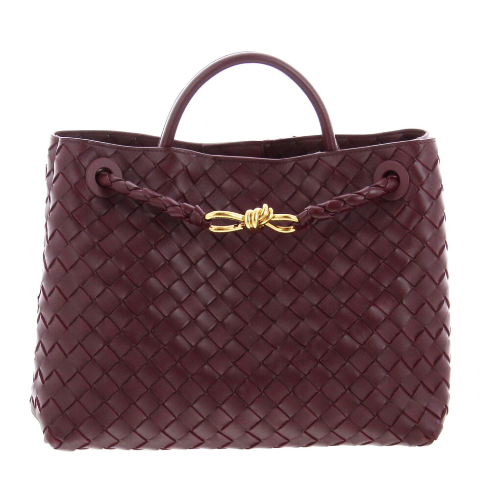 Bottega Veneta - Andiamo Medium - Barolo