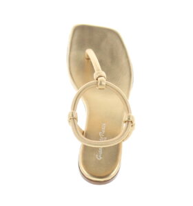 Gianvito Rossi - Juno Thong - Mekong - Image 4