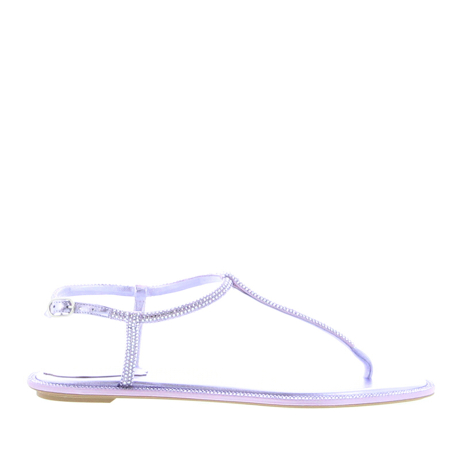 Rene Caovilla - Diana Sandal - Violet - Image 1